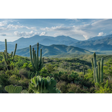 Mexican Landscape Canvas
